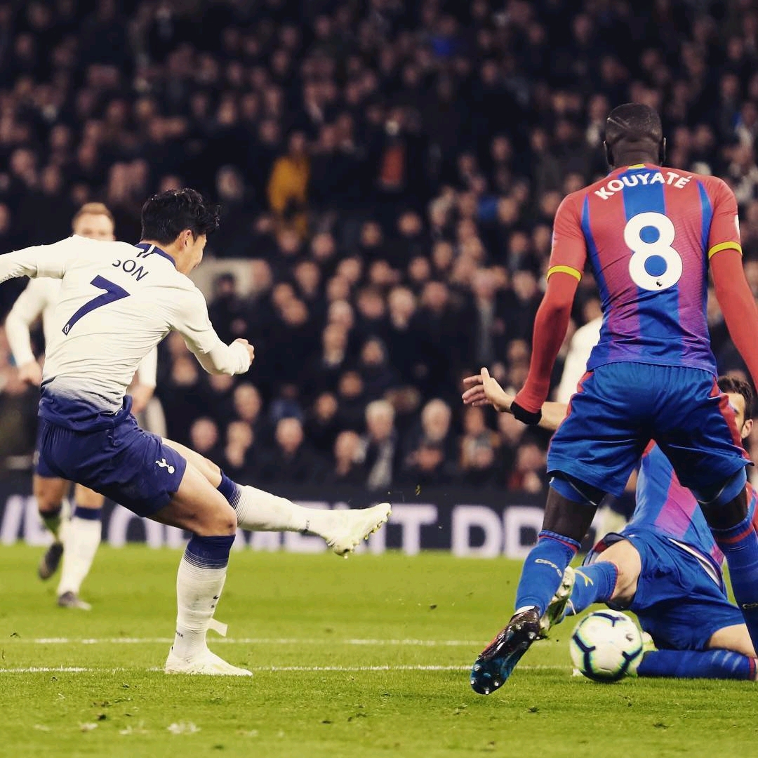 或許正是採 或許正是採