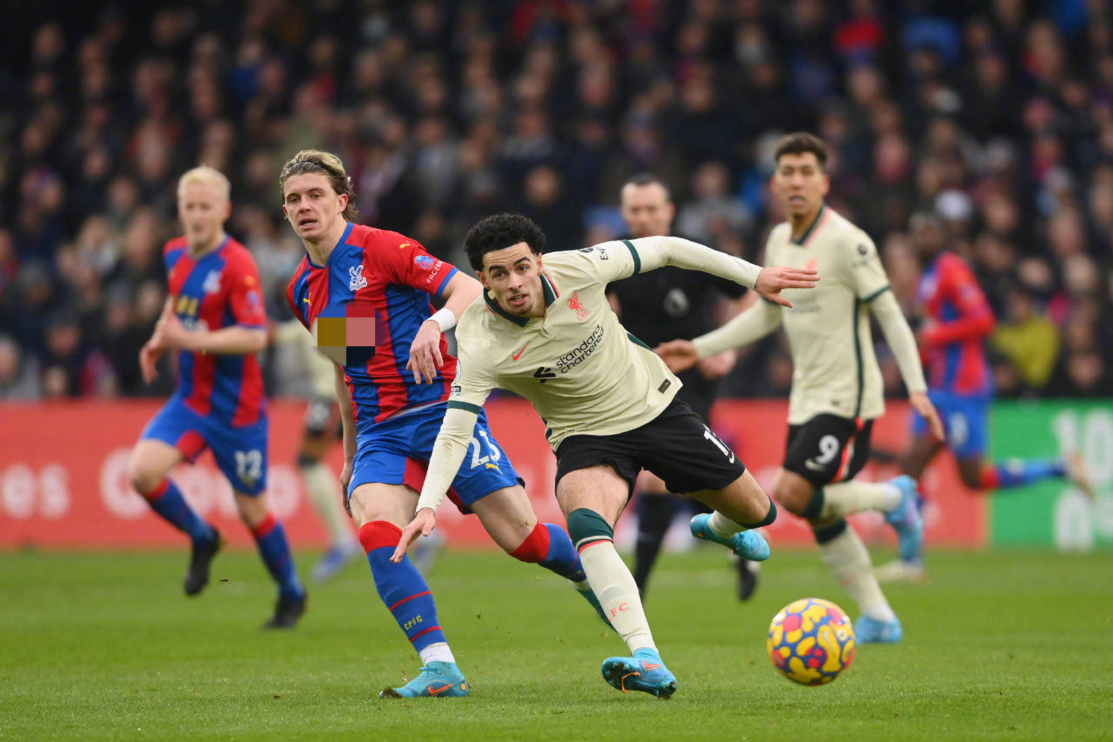 型為商業大 型為商業大